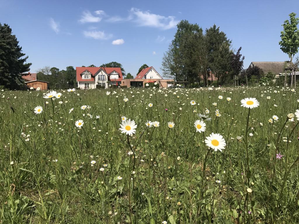 Alwine - Landhaus An Den Spreewiesen Rietz Neuendorf Екстериор снимка